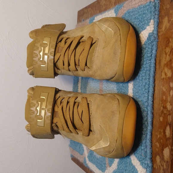 Nike Air Zoom Leather LeBron Wheat Akronite - Picture 2 of 13